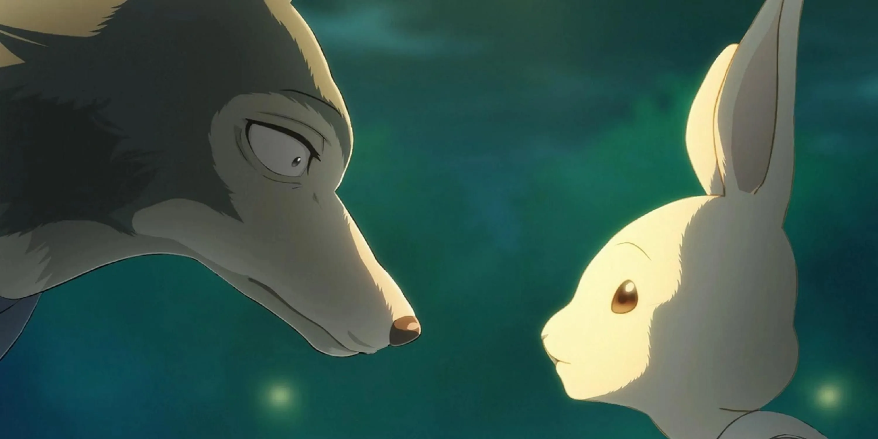 Legoshi và Haru trong anime Beastars của Studio Orange