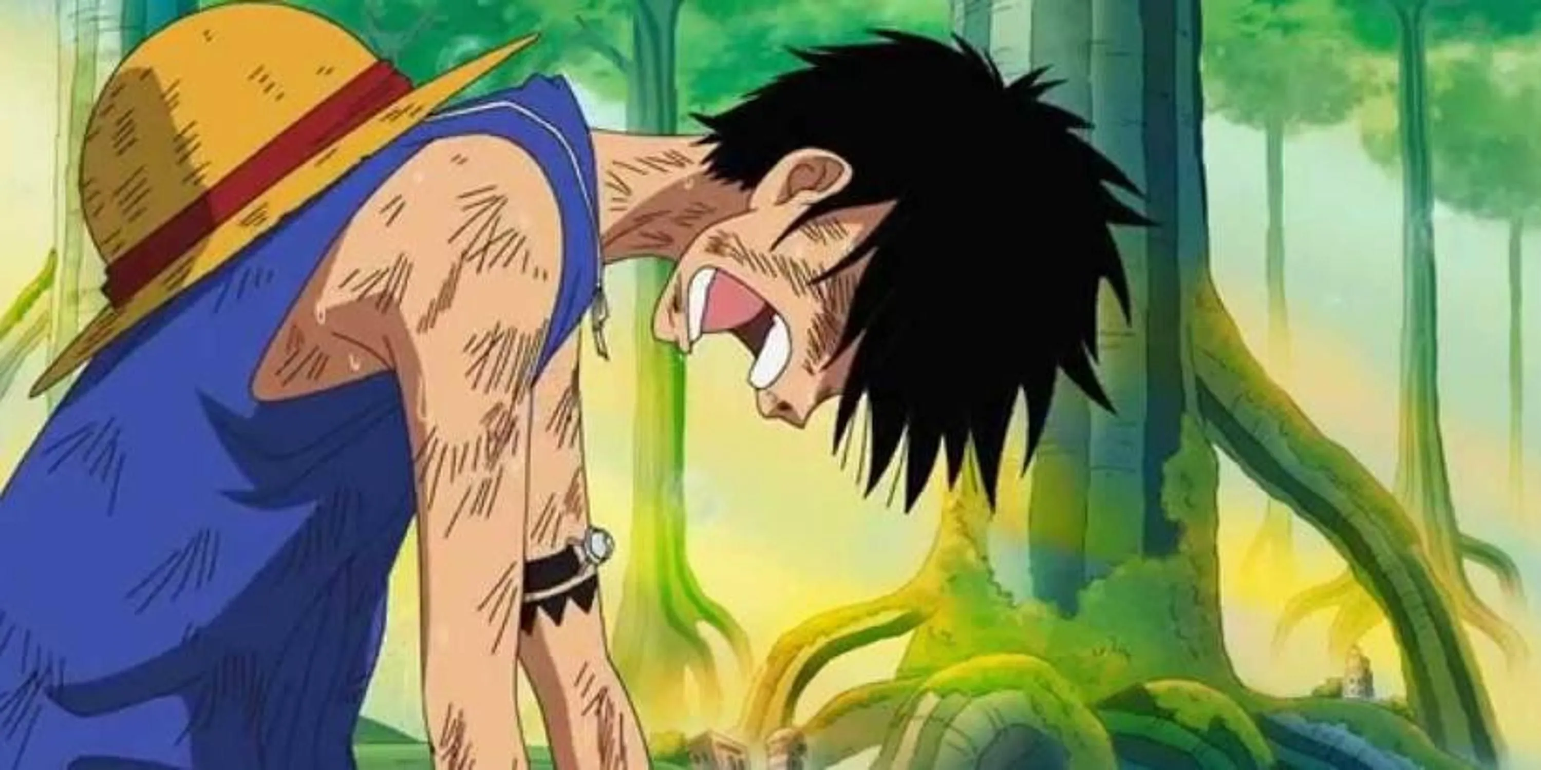 Luffy đau đớn và khóc khi đồng đội biến mất tại Sabaody