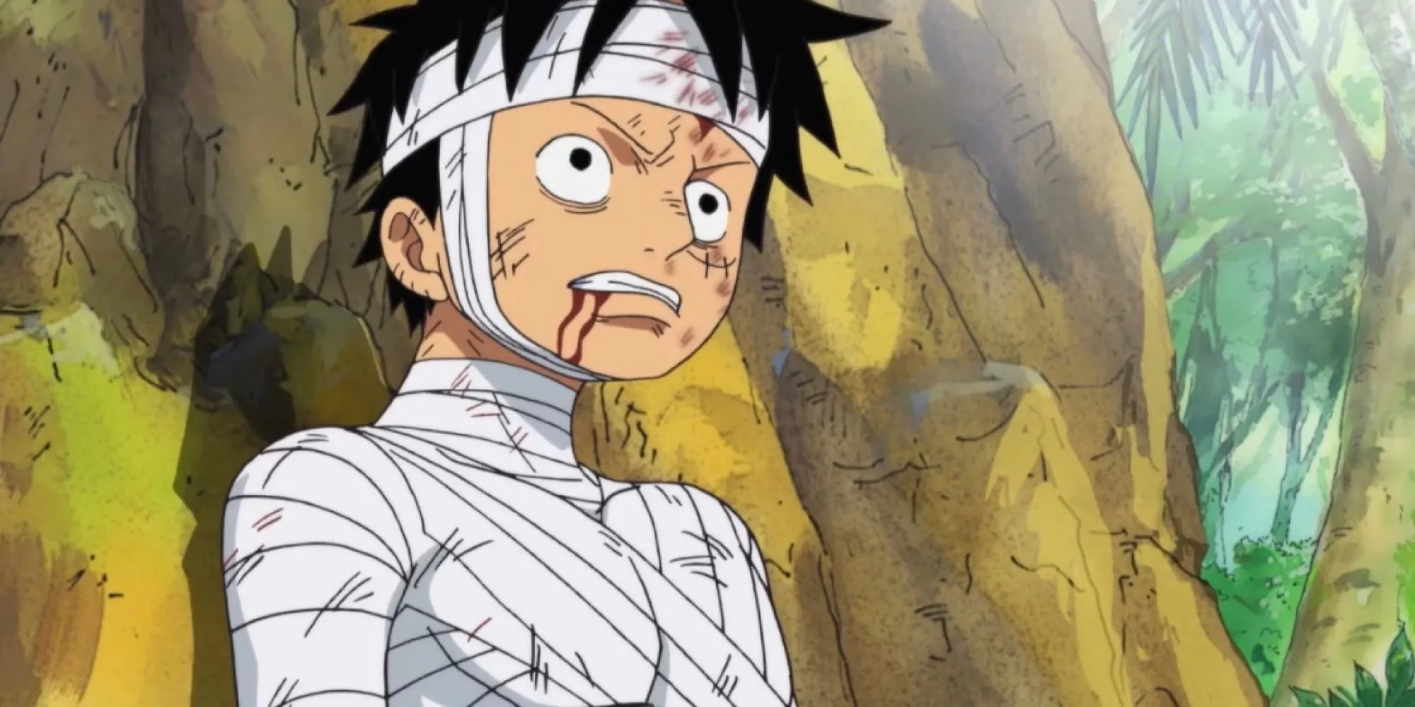 Luffy và Jinbe sau trận chiến Marineford