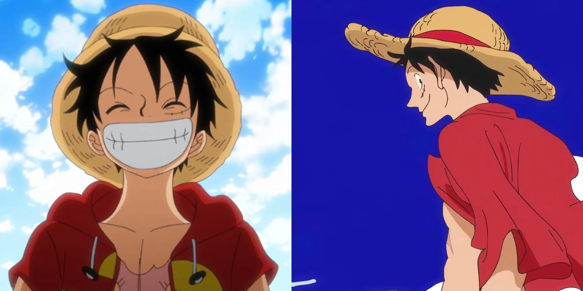 Monkey D. Luffy trong trang phục đặc trưng với chiếc mũ rơm trong One Piece