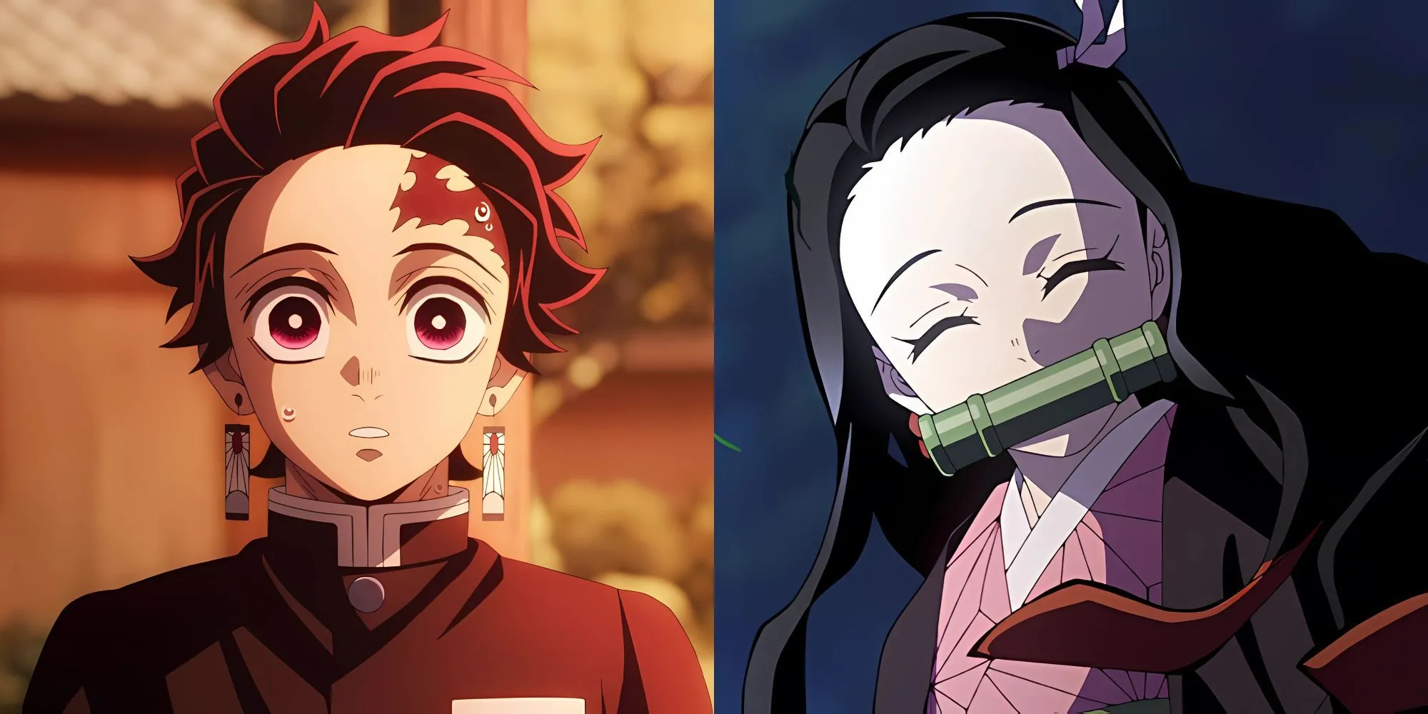 Tanjiro Kamado và Nezuko trong Demon Slayer, hình ảnh chất lượng cao từ Ufotable