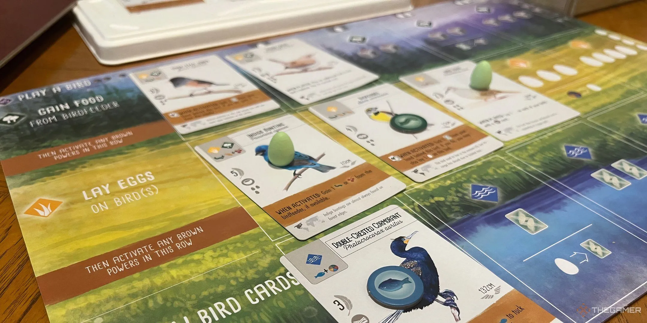 Bàn chơi và các quân bài chim của game Wingspan, thể hiện hệ sinh thái chim đa dạng.