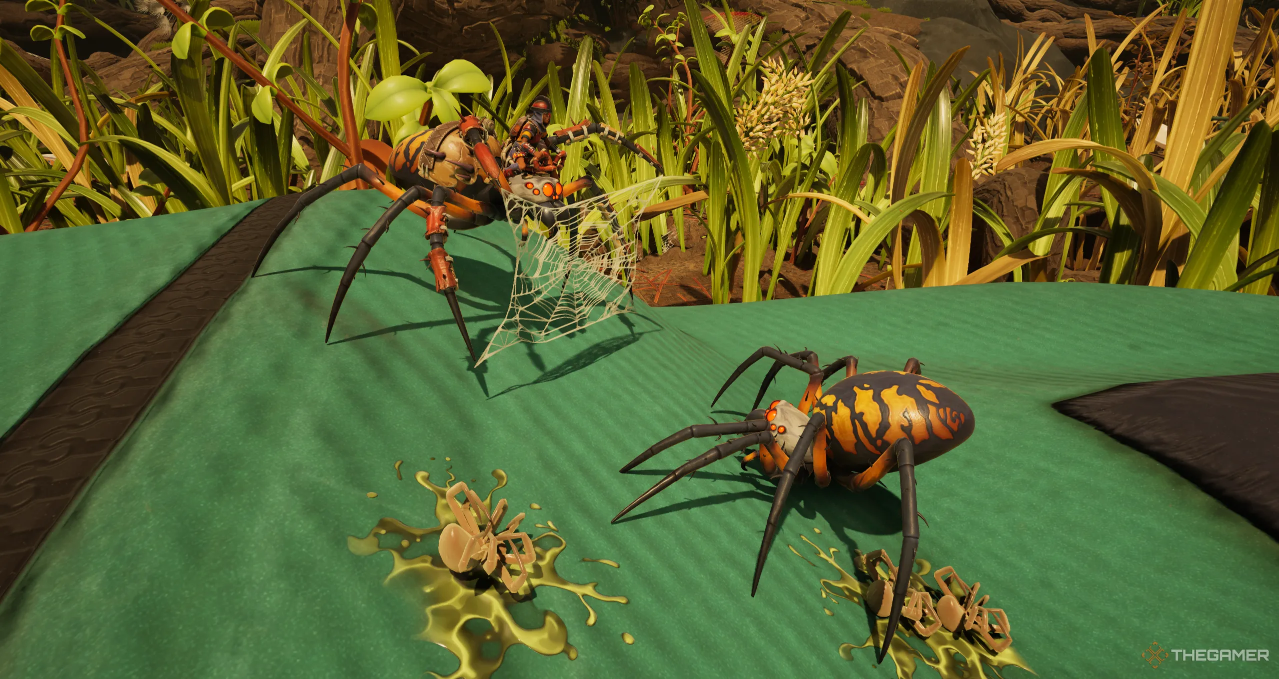 Hai nhện Orb Weaver giao tranh trong Grounded 2